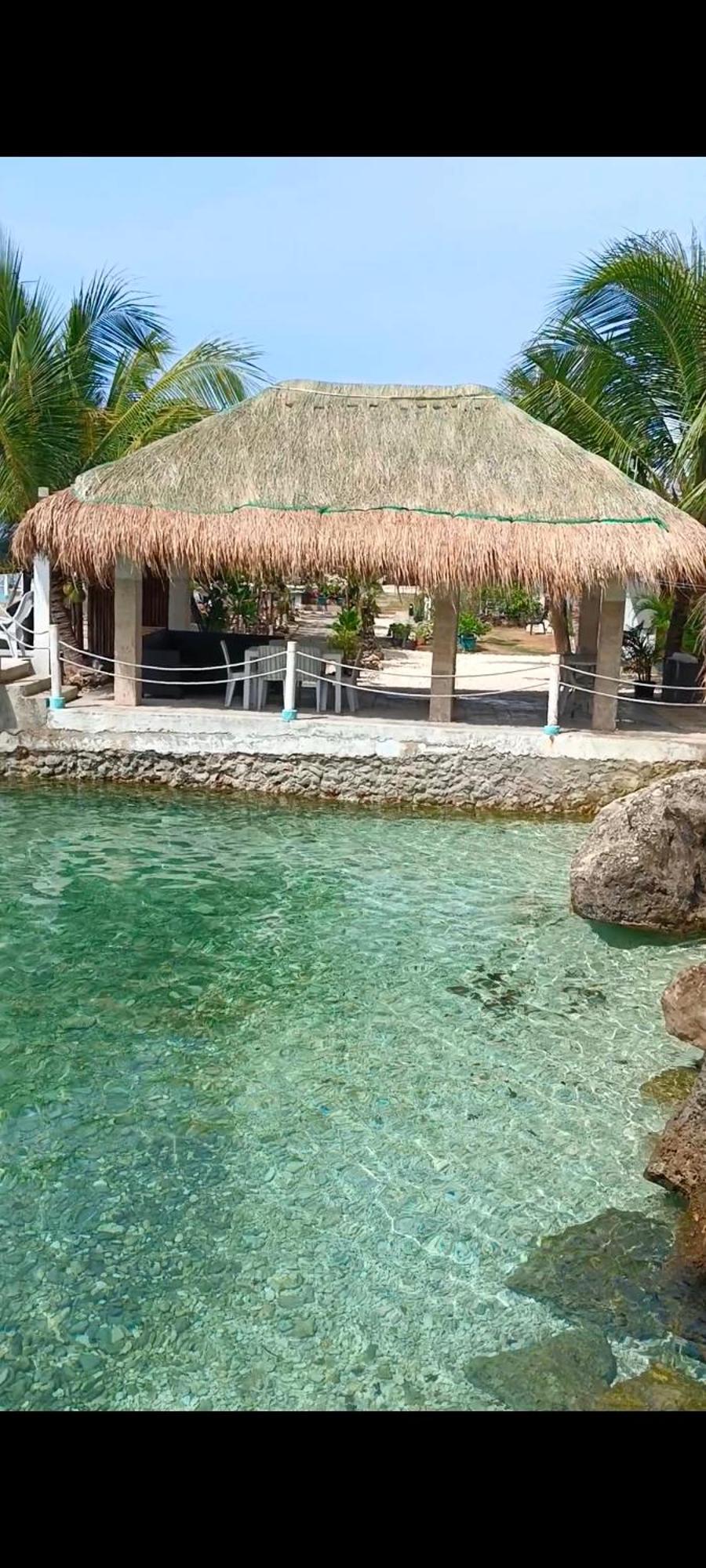 Seascape Beach Resort Oslob Exteriér fotografie