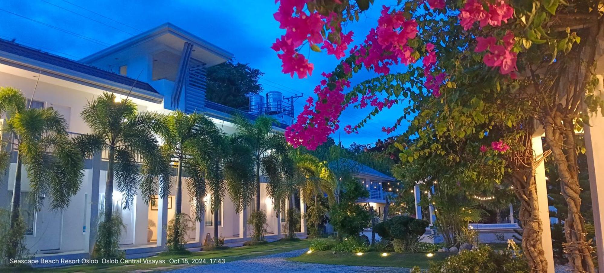 Seascape Beach Resort Oslob Exteriér fotografie